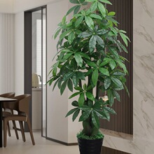 ֲ��ٰlؔ�����Կ͏d�������Gֲ���Ͻ��X��ٻ��҃��b�