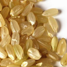 斤健身炒米包邮粗米农家米糙米新米5斤玄米10五谷杂粮东北