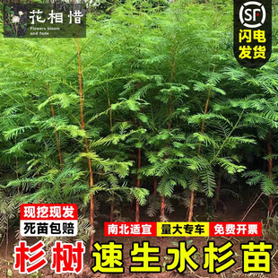 ˮɼ��������ɼ��ɼ�ϱ���ͥԺ�o���L������ļ����������G����ľ