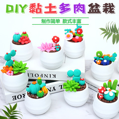 Super Lightweight Clay DIY Realistic Succulent Clay Potted Plants Colored Clay Children's Handicraft Material Pack Arbor Day Craft