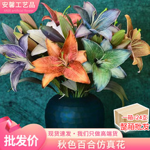 ���滨�ٻ�2ͷ��ɫ�ٺϱ�ŷ��Լ���Ų������ռҾ�װ�λ��ٺ�����