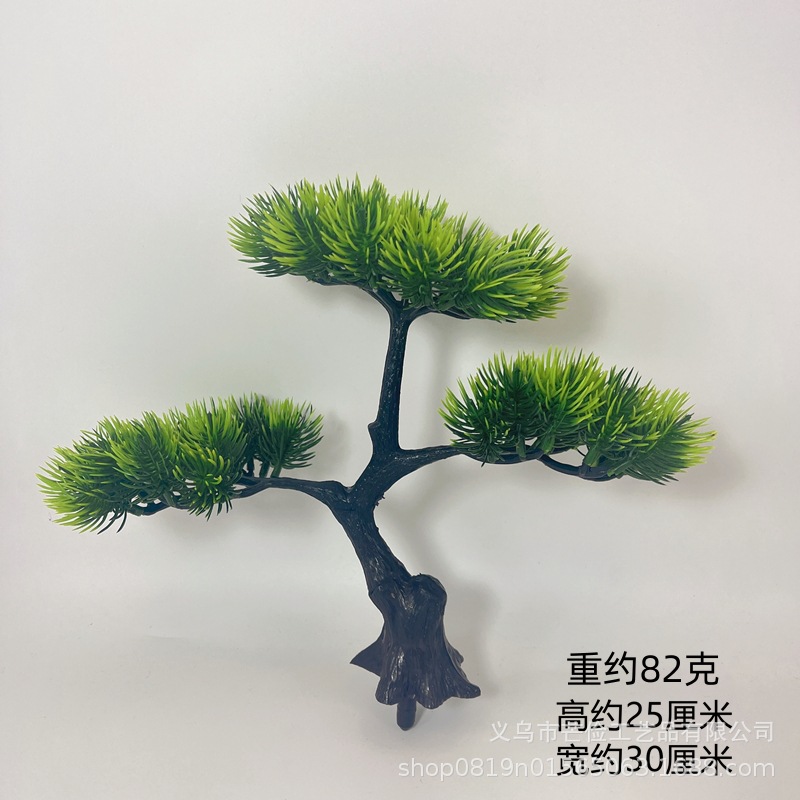 Ganoderma lucidum 라송 [대야없이]