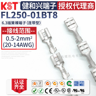 KST�����dFL250-01BT8�B���� 6.3ĸ����B�@����K.S�B����UL�J�C