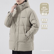 ��ʿ����ɫ��q�������L����Ӻ�����Z�q�����׌������e��q��