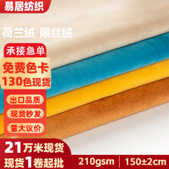 現物卸売り暗号化オランダパイル生地丽糸ベルベット袋服装カーテンベルベットベルベットソファー生地
