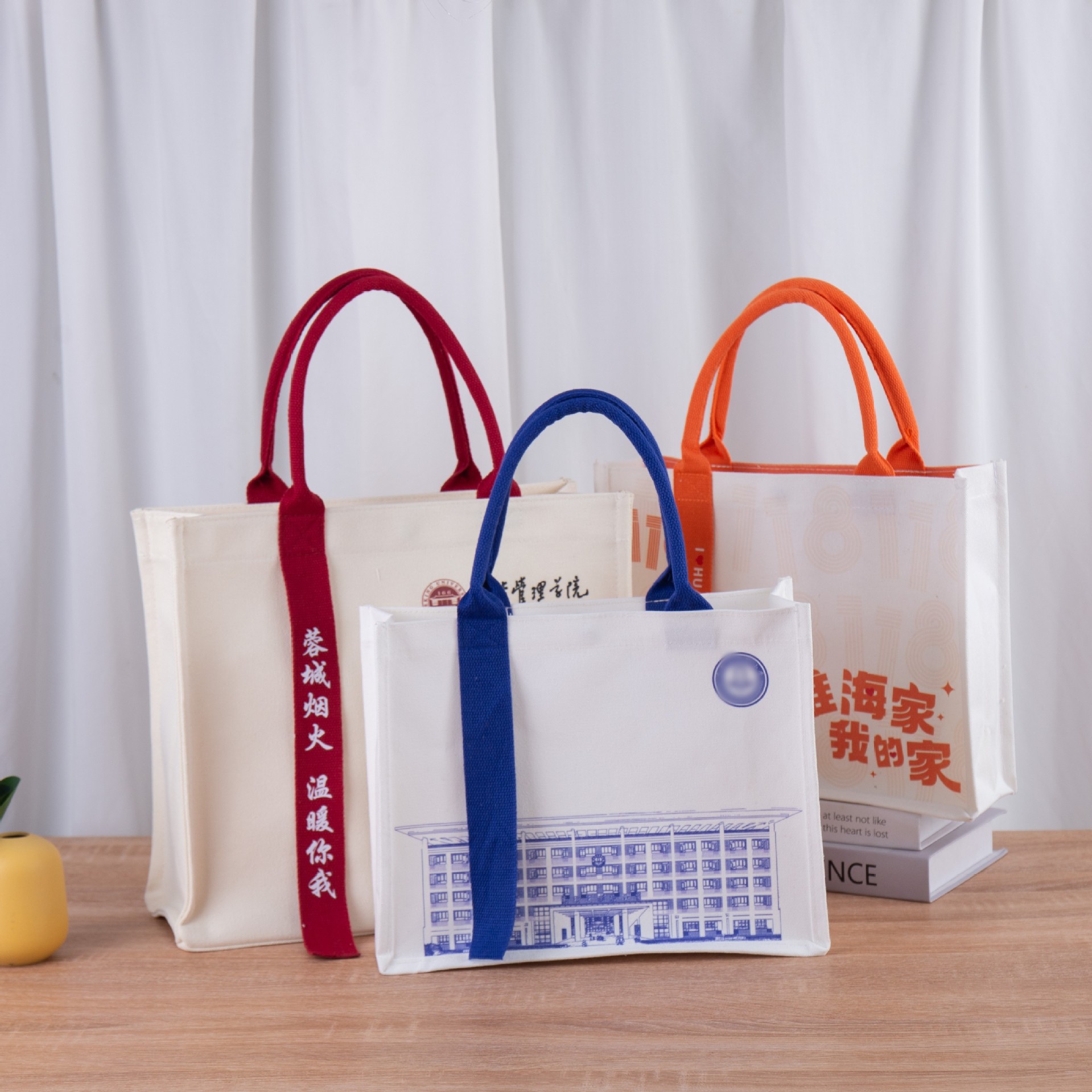 飘带款托特包加logo小众设计帆布包通勤高级感手提袋百搭高奢帆布