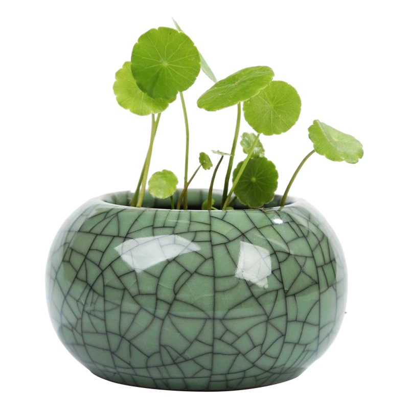 Ge печь Медная Ваза для травы свежий рабочий стол украшение для цветов гидропонный маленький цветочный горшок керамический контейнер цветочный гидропонный горшок