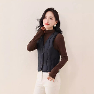 Autumn and Winter New Pure Color Versatile V Neck Liner Warm and Light Feather Velvet Vest Women's Outwear Slim Vest