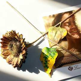 成品油画风仿真向日葵适用婚庆各种场景搭配花艺高级花卉感