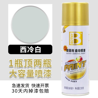 Furniture Household Various Colors Bright: Avtomobil boyası - baocili-57-sirloin-white-450ml