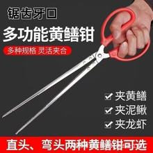 ���P��~�Q�S�X�A �s�����ߊA�з�A���r���q�X�~�Q�� �������A��