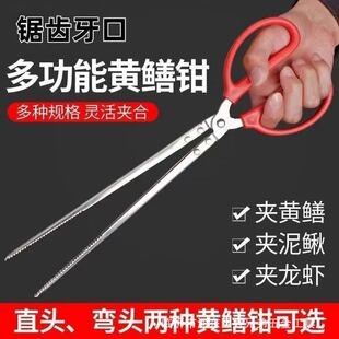 ���P��~�Q�S�X�A �s�����ߊA�з�A���r���q�X�~�Q�� �������A��