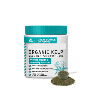 Dog Hair Seaweed Powder Dog Hair Seaweed Powder Export Supply Source Manufacturer Wholesale