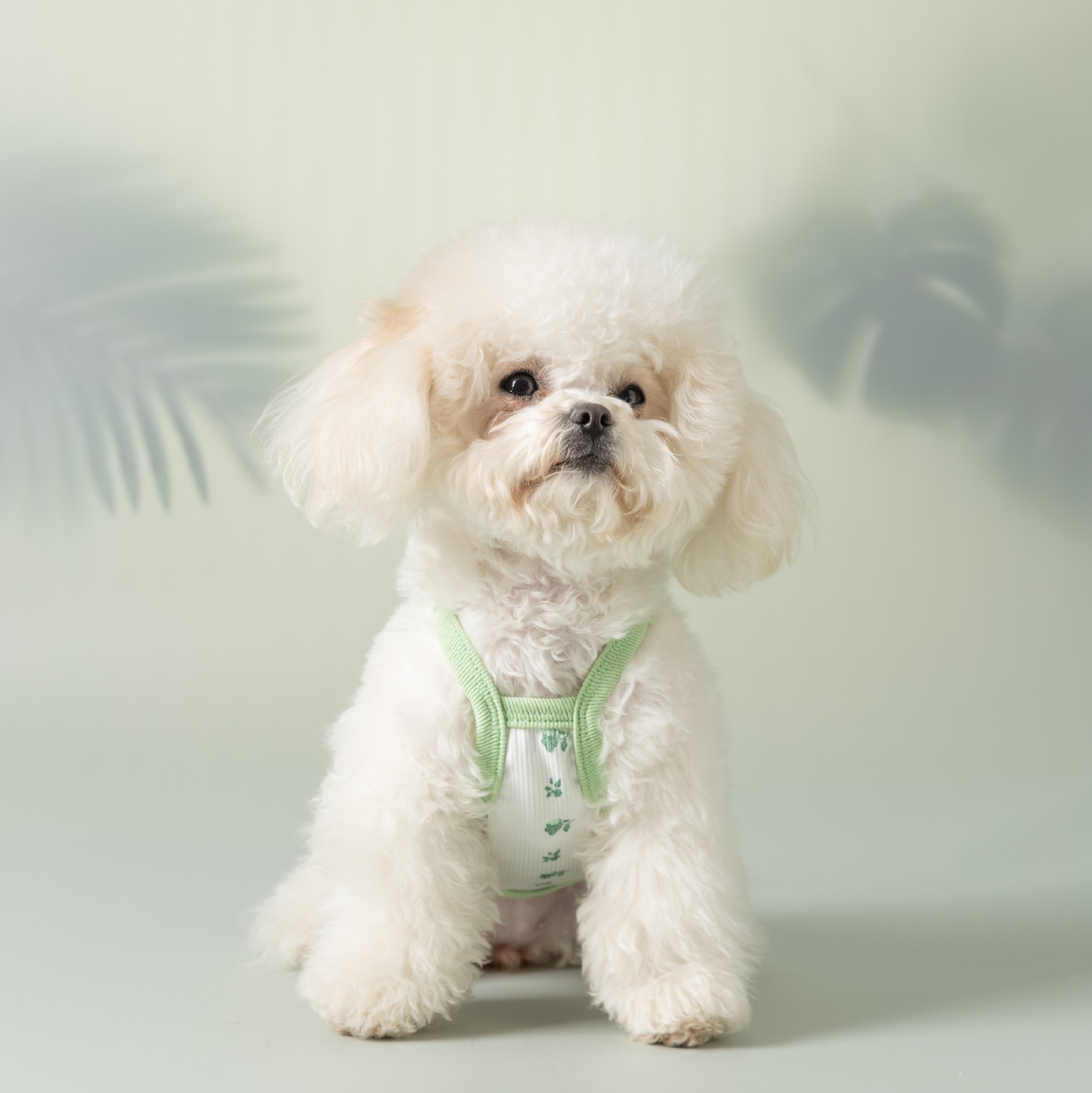 Adorable chaleco de perro de verano delgado mascota ropa de perro impresa pequeña flor de la falda de la tira simple Teddy Bear