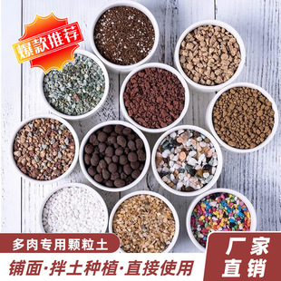 ���ʯ���⌣�àI�B���w��ֲ�ﻨ�����b�ʯ���^�������ʯ�w��ʯ