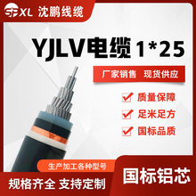 yjlv1*25/35/50�͉���о�X��| yjlv�Xо�����|���� �S���N��