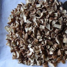 �㹽�_���o�s���������{�����ȏS�����l�㹽���ؾ����ؼ����{�a
