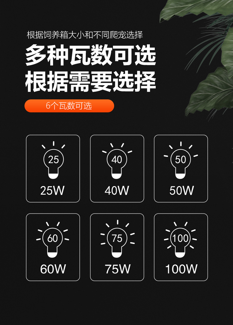 ND-05-聚砂灯2024新版_09