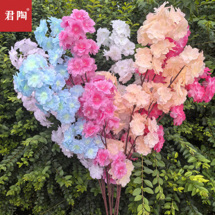 ����ѻ�֦3��һ��ѻ���֦��c�bҾӿ͏d�̈��ٻ��������|3��