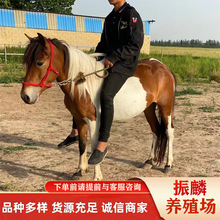 ���R��ʲô ���R�Bֳ�����۵±����R���w�O���m���R ��܇���_�R