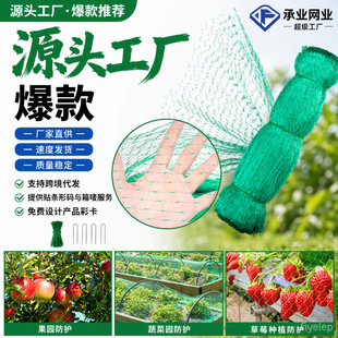 Birdnet���B�W����ϩ�D�����@�Gɫ�W����ͥԺ�r�B�W�W����Bֲ��