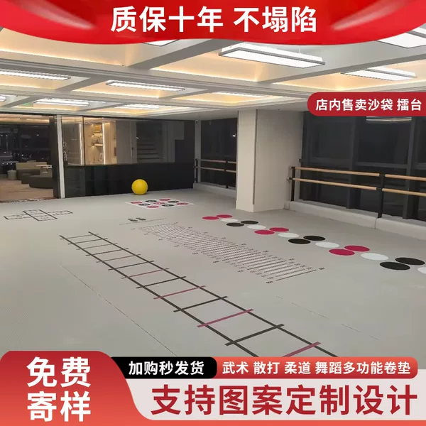 Fighting Roll Mat, Multi-Functional Boxing, Wrestling, Martial Arts, Sanda Training Mat, Fighting, Jujitsu, Taekwondo Professional Floor Mat