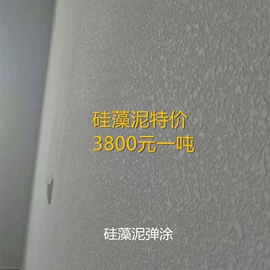 艺术涂料;硅藻泥;内墙涂料