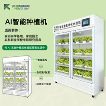 �W�����`�Nֲ�� У�@�ЌW�Ŀ�o������̌W�O��