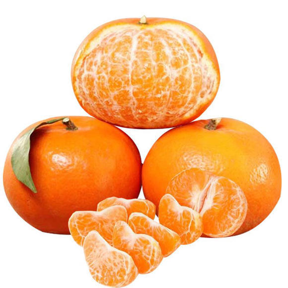 Guangxi Wuming Season Orange Season fresh fruit Season Pellicle Orange One piece On behalf of