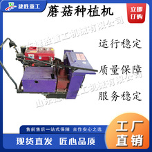 ʳþԄӰϙC 늄rĢNֲC ʽ㹽ƽC