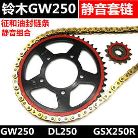 铃木GW250GSX250R DL250摩托车后牙盘大小飞链轮静音油封链条套链