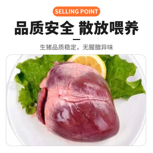 5��10���b���w���r�i�ĬF���i���K ���r�i�� ���Ƶ��������l