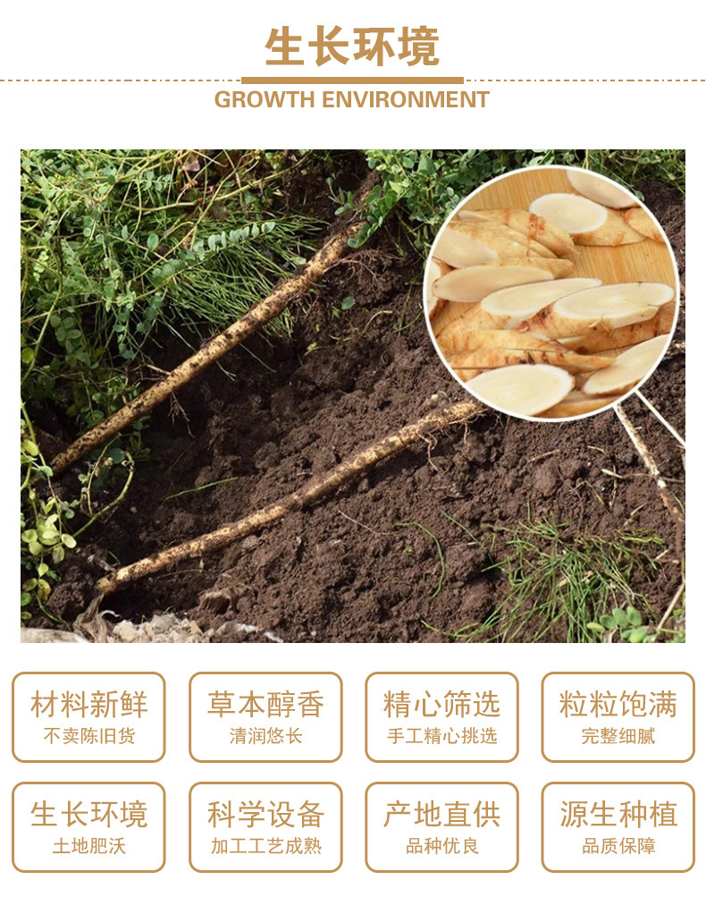Huang Qi Slices (Astragalus membranaceus) — Premium Minxian Large-Cut Bei Qi Root Slices, 500g quality and texture