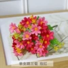 Rose red orchid chrysanthemum 7 forks