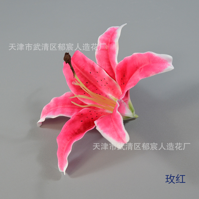 Rose red
