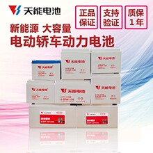 天能新能源电动轿车四轮车原厂电瓶60v100a4-evf-150y6v200ah批发