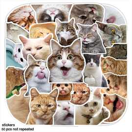 50张可爱猫咪卡通手账涂鸦贴纸手机壳行李箱手账本防水装饰贴纸