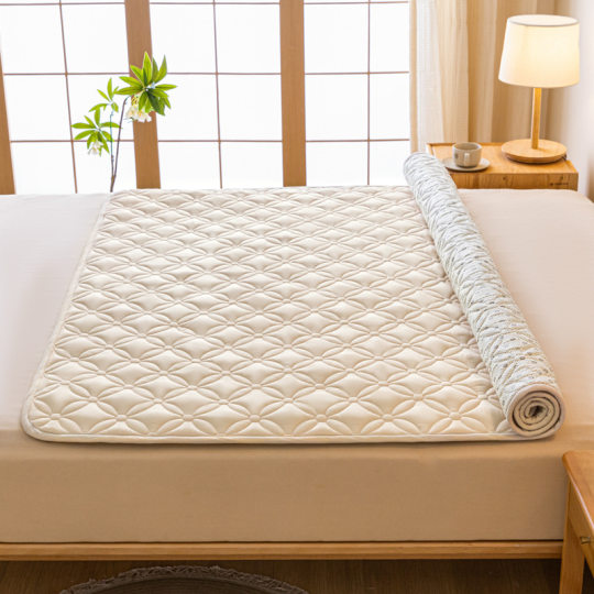 Class A Mother and Infant Grade Soybean Cotton Mattress Four Seasons Raw Cotton Thin Cushion Home Dormitory Non-slip Mattress Mattress ~