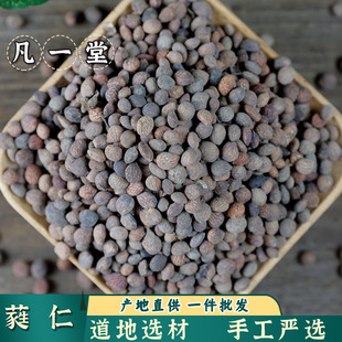 ����һ�á������x�� ���� ި�� ި�� ި���� ���� ������