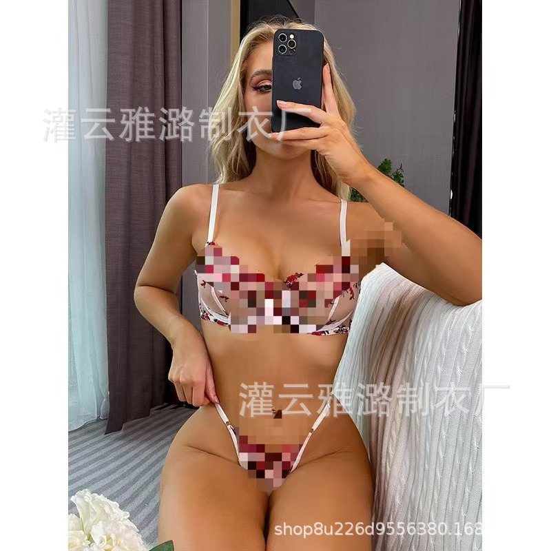 Aiyang amazon delgada ropa interior europea y americana fábrica de bordado de comercio exterior venta directa de tamaño de encaje impresión labial