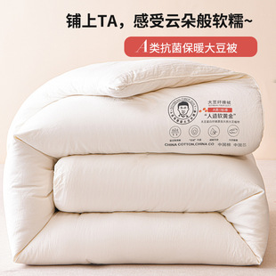Class A Mother and Infant Grade Soybean Fiber Quilt Core Soybean Mother Quilt Summer Cool Quilt Thickened Warm Winter Quilt Spring and Autumn Quilt