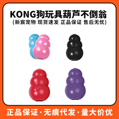 KONG Dog Toy from American Brand, Teaser Ball for Puppies and Adult Dogs, Training and Interactive Play, Anti-Chew and Smart Design