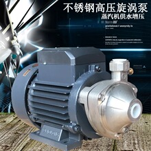 蒸汽发生器配件家用奥龙旋涡泵550W锅炉补水泵750W高压水泵多级泵