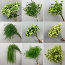 ��c��ˇ�Gֲ�Pβ�~���ȼ������X�ݲ��þGɫ�������ϻ�Y���߽���