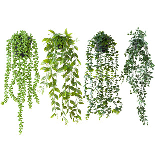 �羳 �������ԼّҒ�ֲ�� �Gɫ����������_�َ������҃ȑ����b�