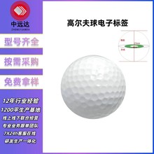 RFID球场定位计分系统 RFID高尔夫球标签 追踪管理RFID电子标签