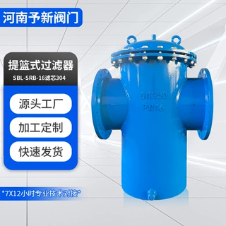 提篮式过滤器SBL-SRB-16滤芯304碳钢法兰过滤器水处理立式直通