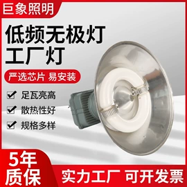 工矿灯;投光灯;无极灯