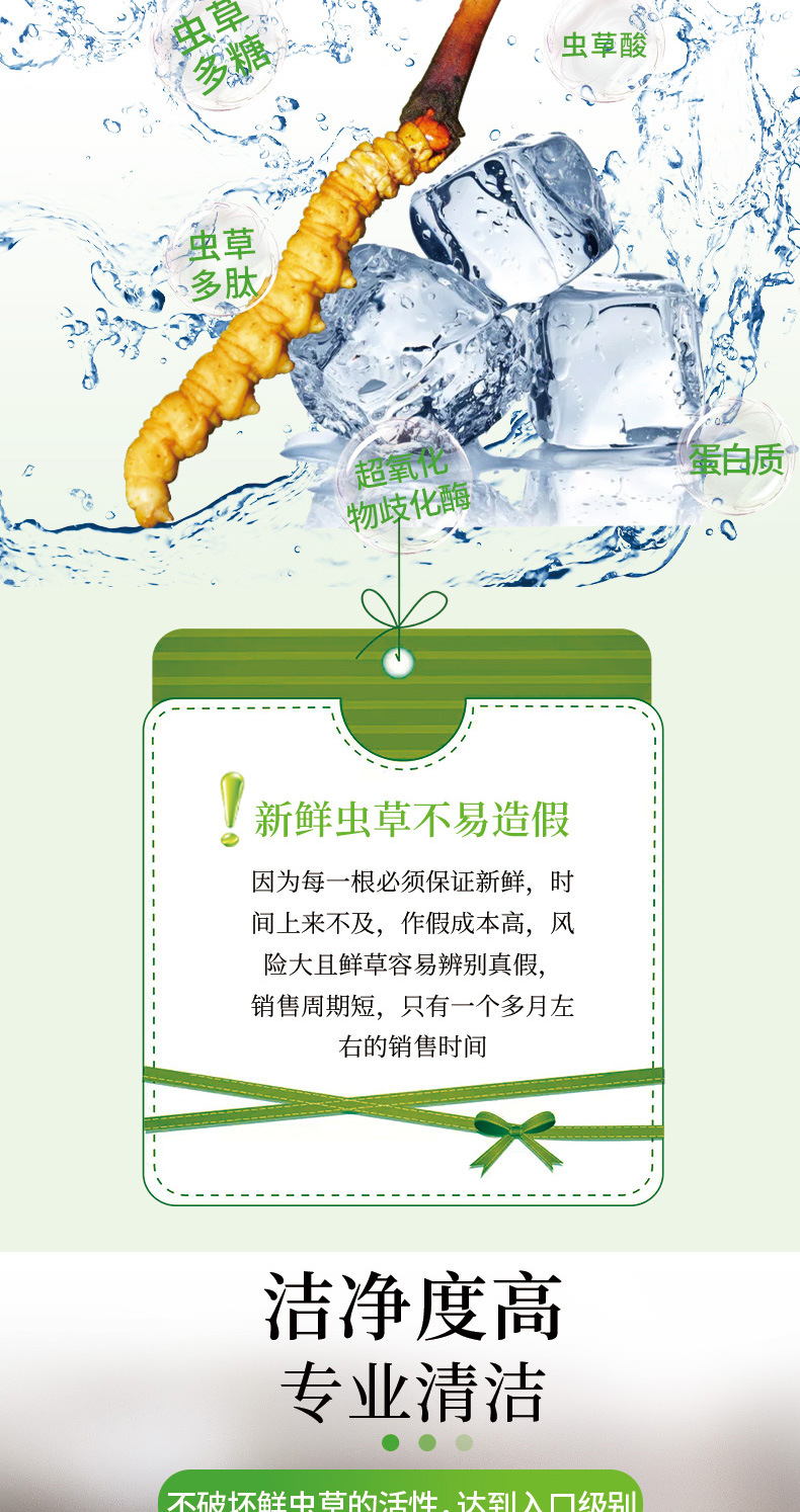 新鲜虫草_06.jpg