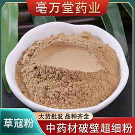 草寇粉中药材批发新货草寇 草豆蔻现磨粉香料卤肉调味料调料大全
